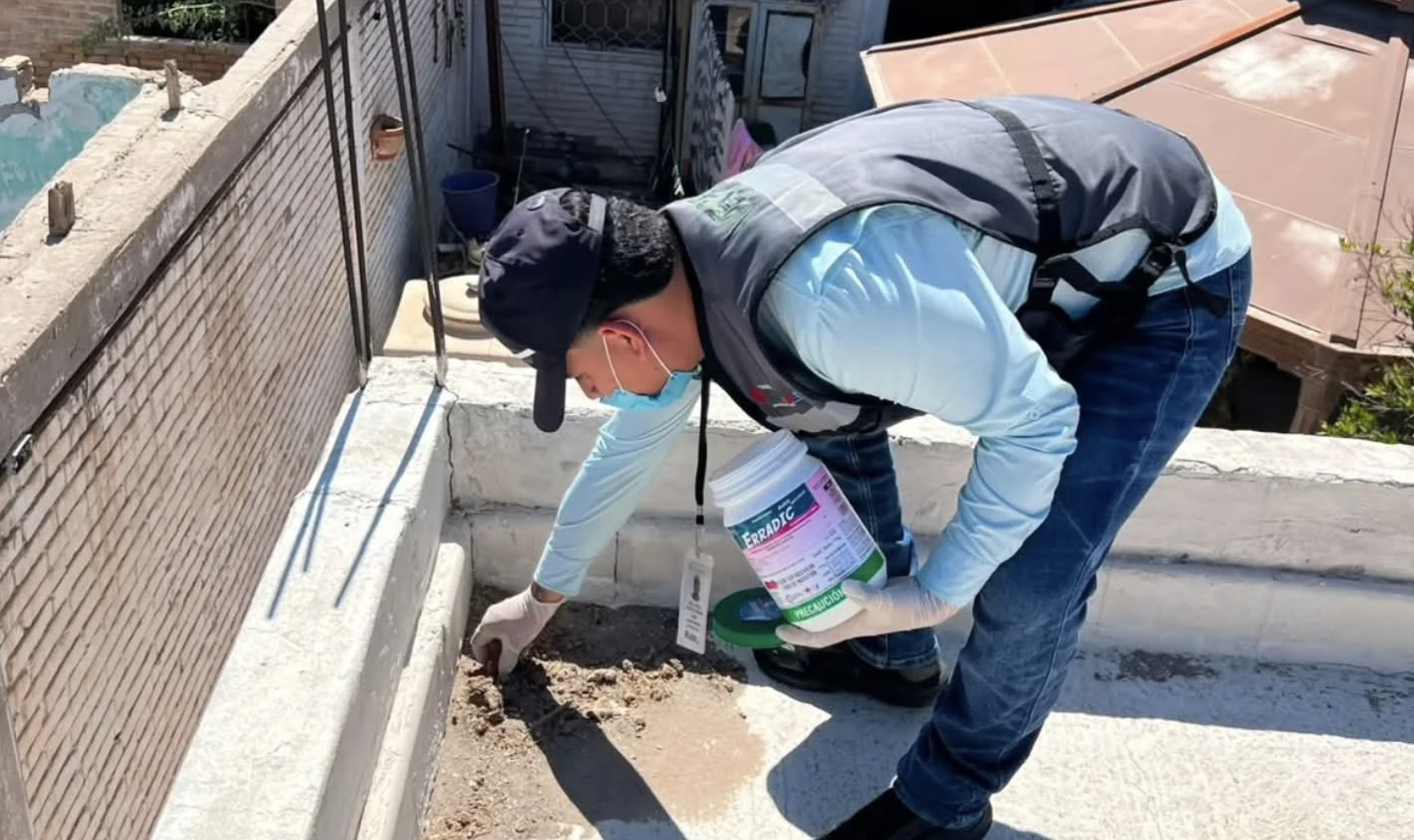 Refuerzan acciones de prevención y control de vectores y plagas