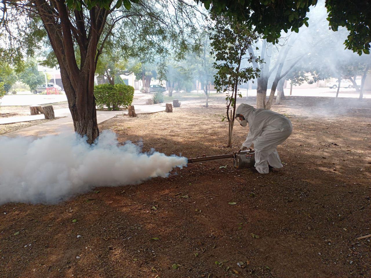 Intensifican acciones contra mosquitos, garrapatas y roedores