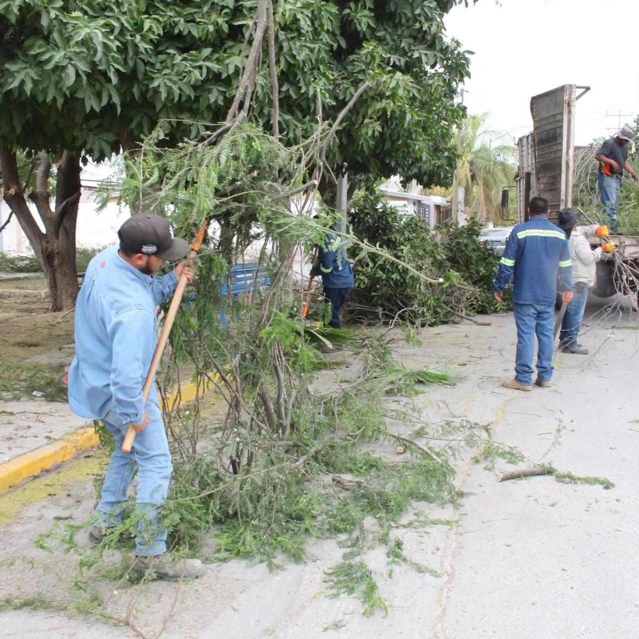 Realizan trabajos de retiro de exceso de follaje y maleza en vialidades de Torreón