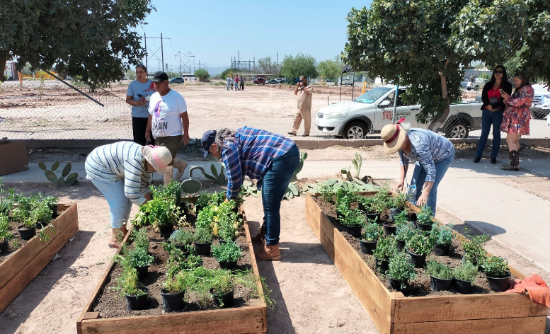 Instalan huerto comunitario y realizan reforestación en el parque “Las Arboledas”