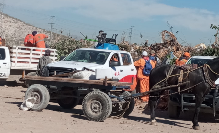 Van 200 carromateros censados por el Municipio en Torreón