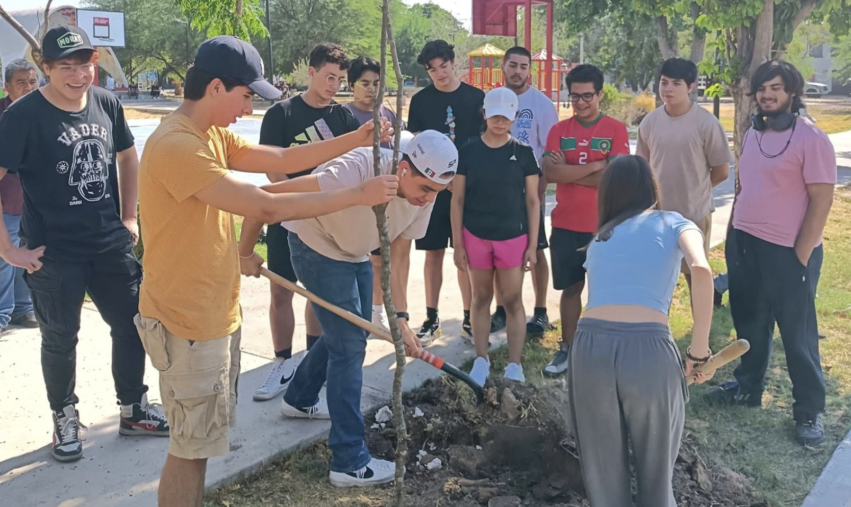 Continúan trabajos de reforestación en colonias de Torreón