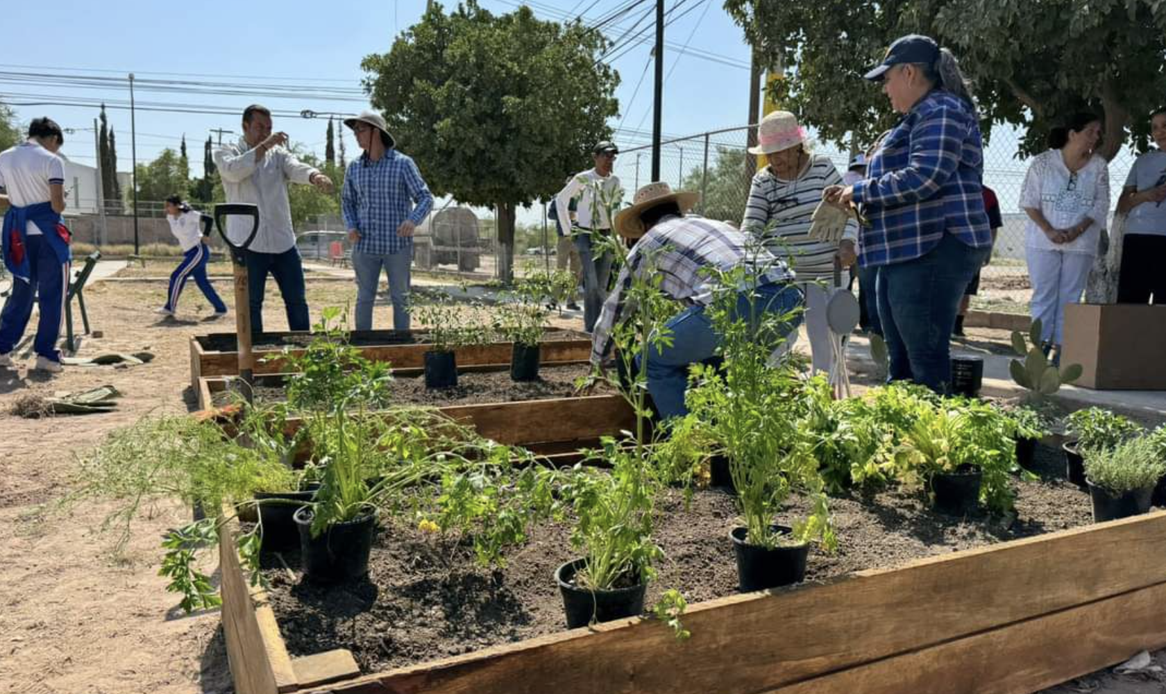 Invitan a familias a celebrar el Día Mundial del Medio Ambiente