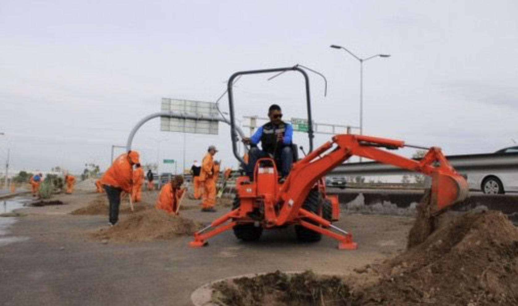 Trabajan en reforestación del Periférico Raúl López Sánchez