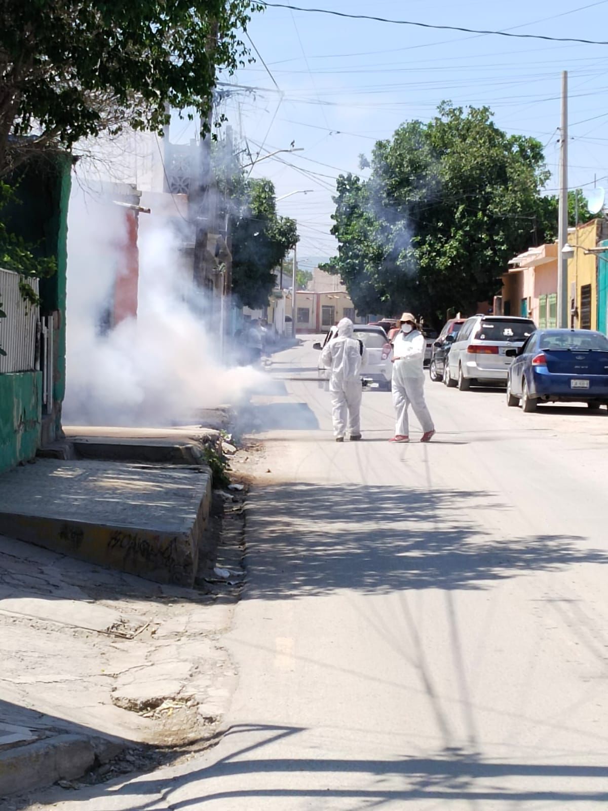 Van mil 930 casos de dengue en Coahuila a lo largo del 2024