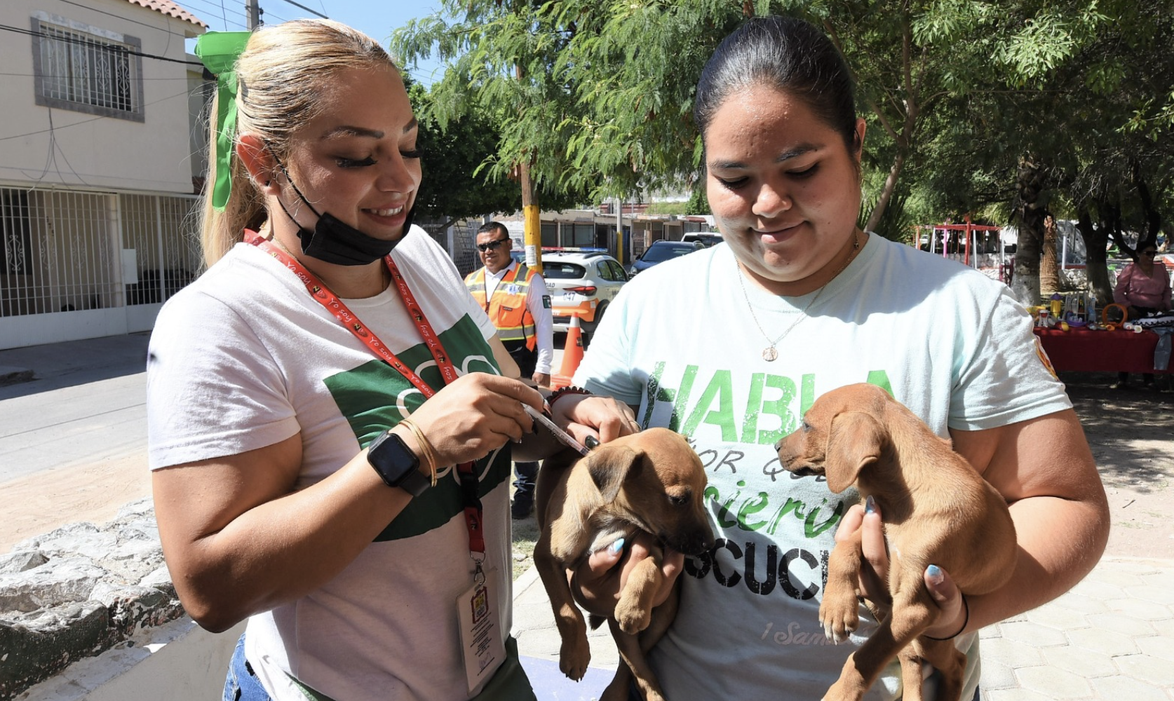 Salud Municipal emite recomendaciones de cuidados para mascotas ante las bajas temperaturas
