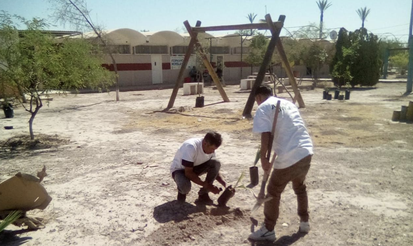 Mediante esquema de Servicio Comunitario del Centro de Justicia Municipal reforestan la asociación “Ciudad de los Niños”