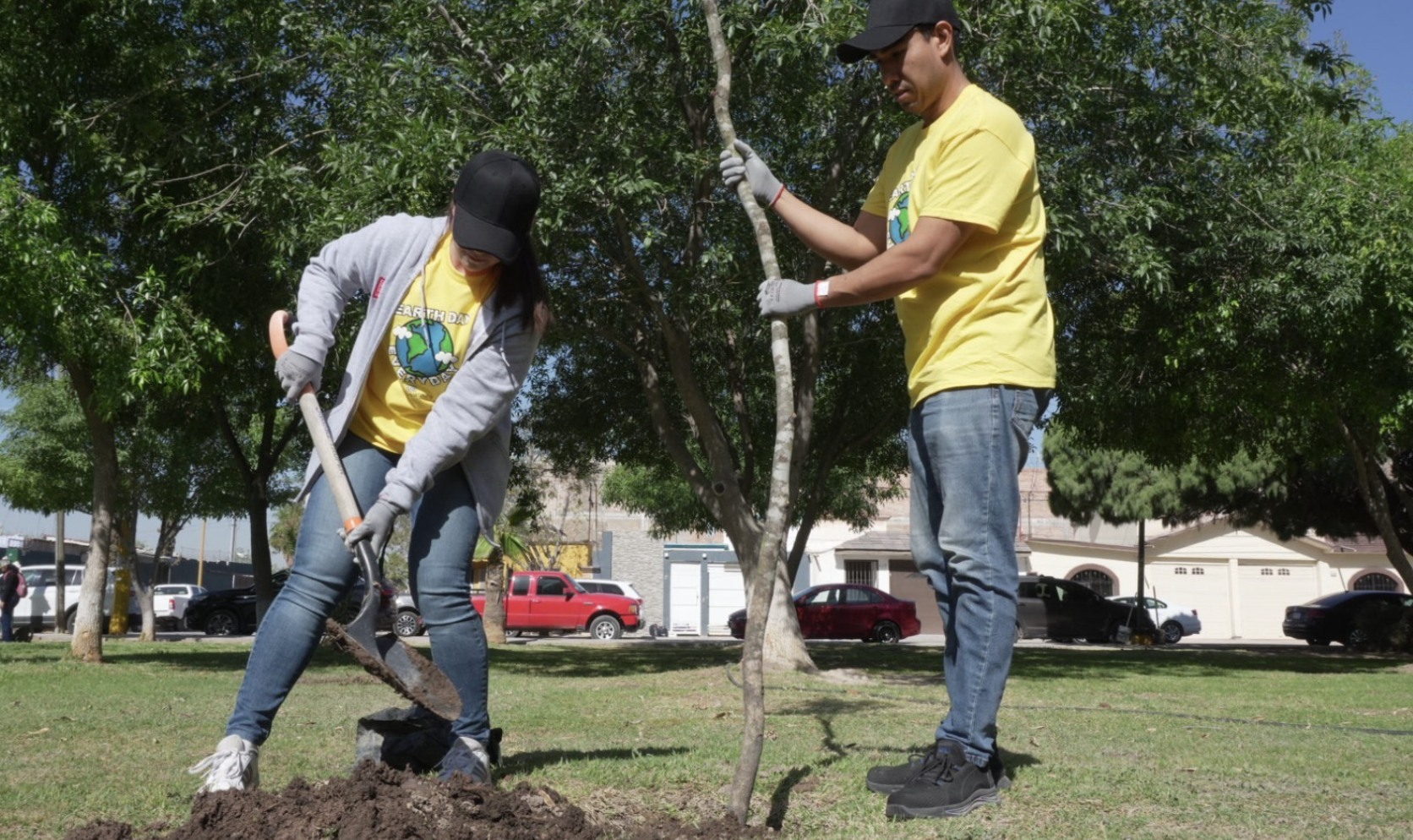 Crece participación ciudadana en programas de reforestación: este año se han plantado 2 mil 500 árboles