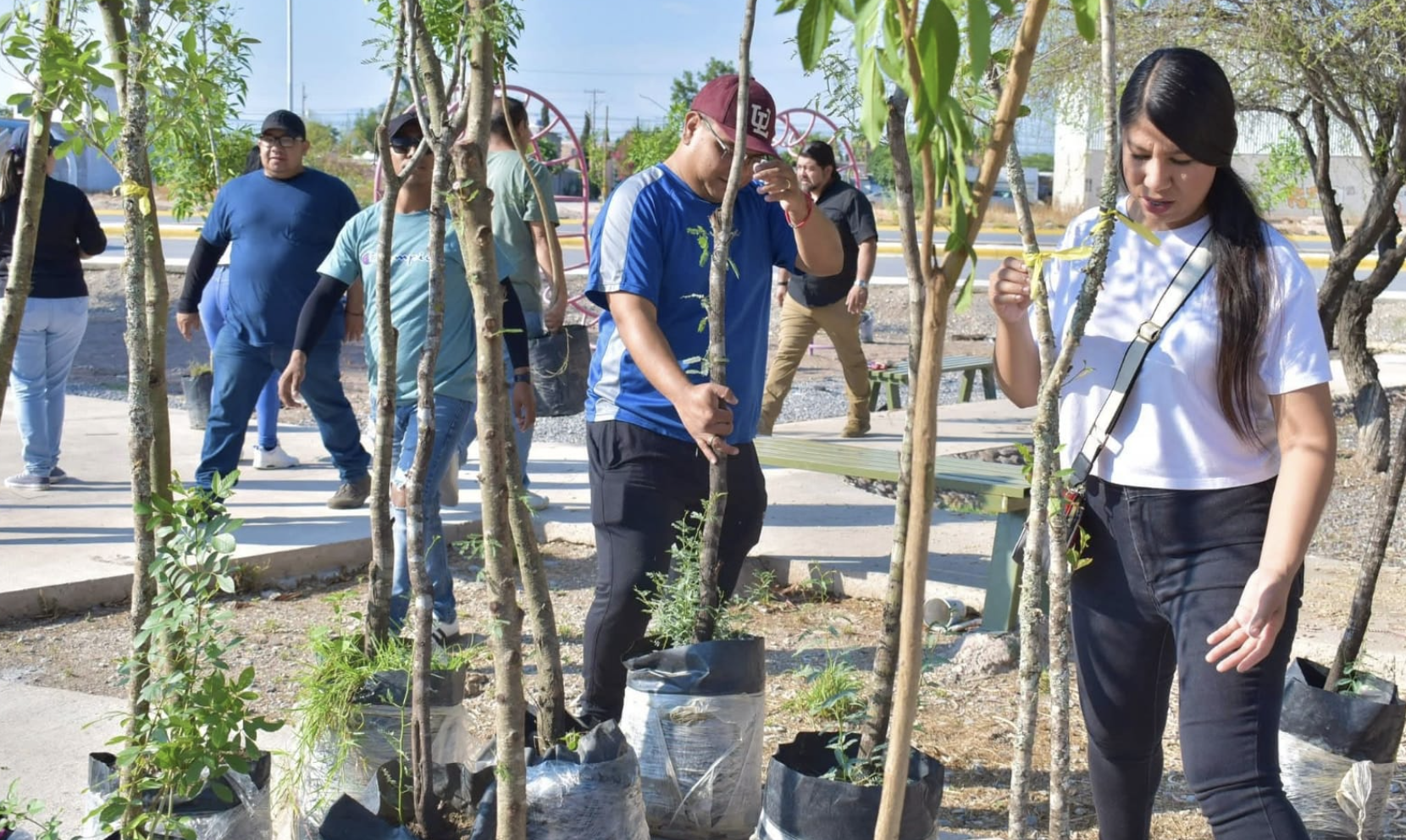 Agentes de Vialidad y Movilidad Urbana de Torreón reforestan plaza en la colonia Quintas del Nazas
