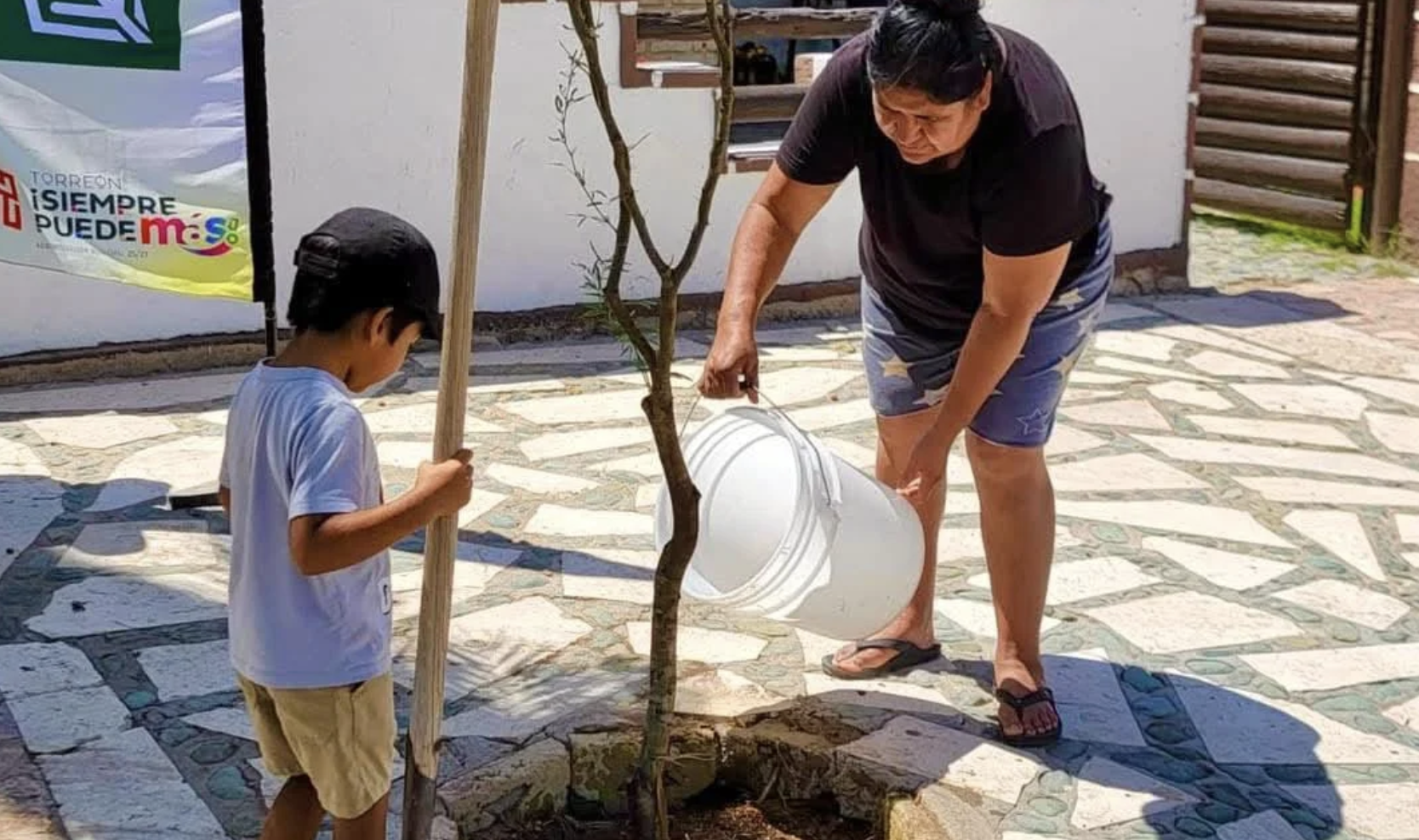 Con 314 árboles, reforestan la Sierra y Cañón de Jimulco
