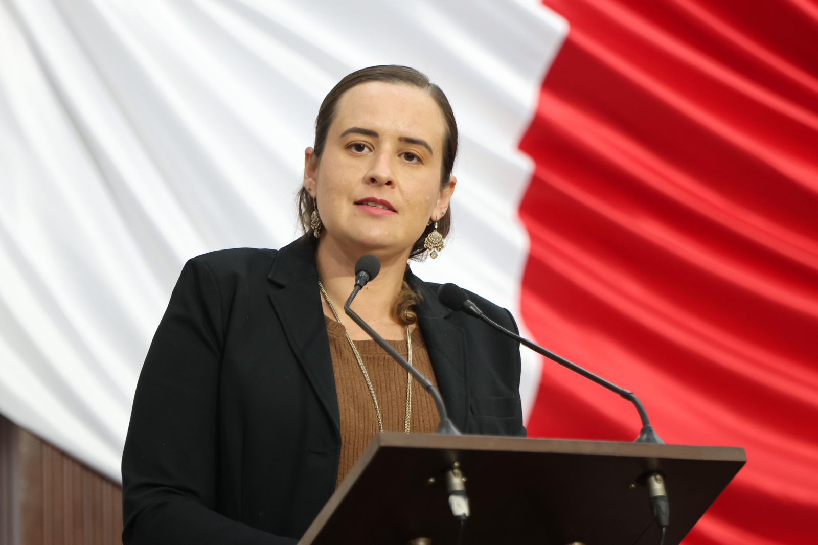 Fortalecer vigilancia contra procedimientos estéticos/cosméticos no profesionales: Beatriz Fraustro