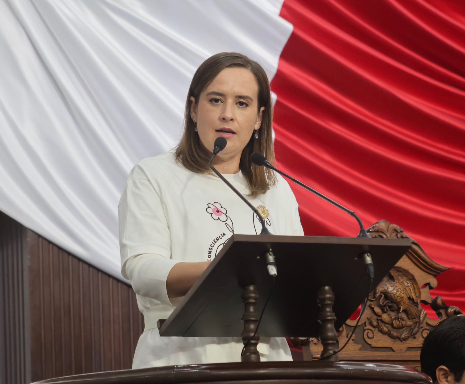 Garantizar igualdad y prevenir violencia económica en procesos de divorcio, plantea Beatriz Fraustro