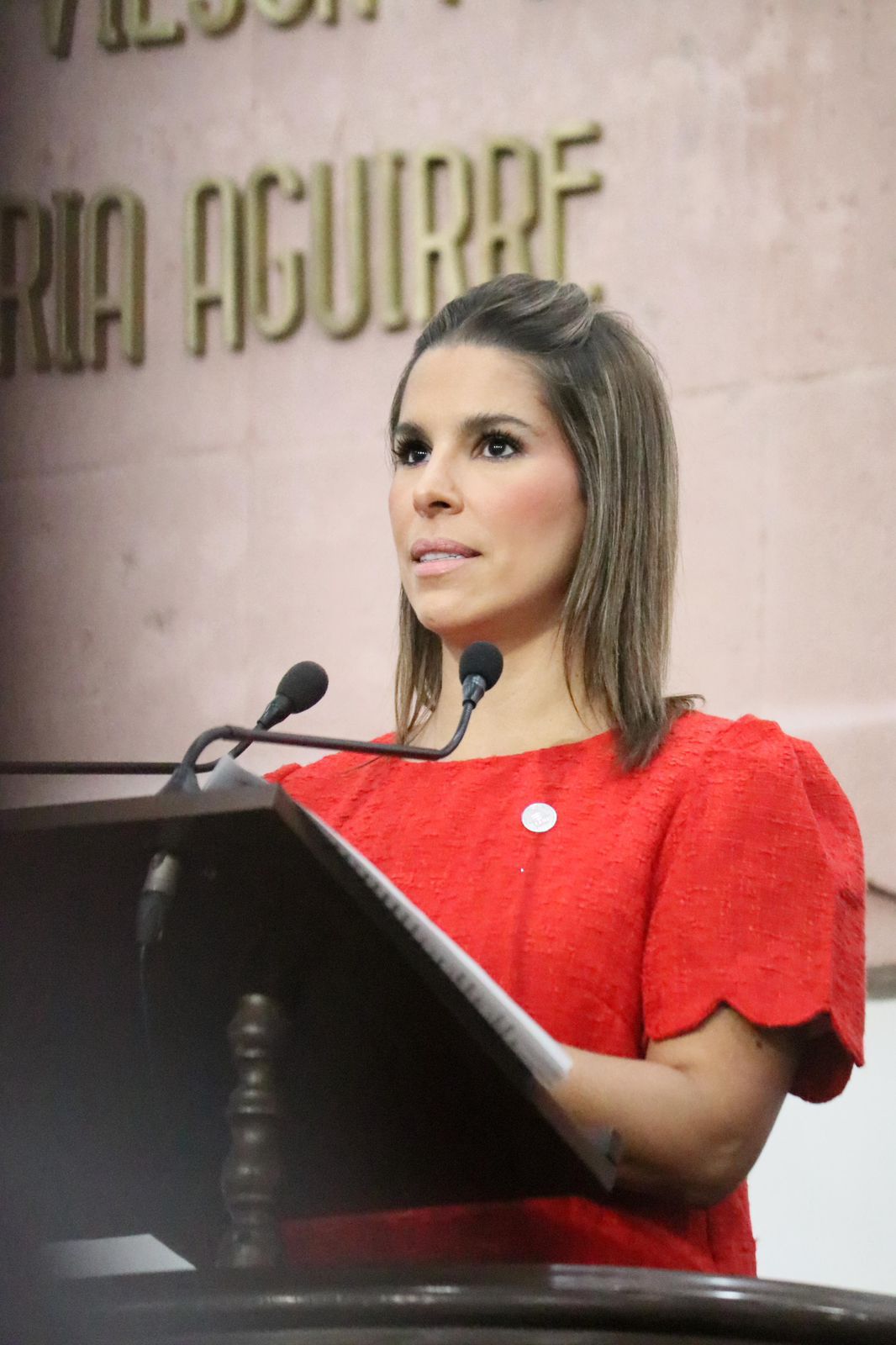 Capacitación a personal municipal en trato digno a los animales, pide Claudia Aldrete