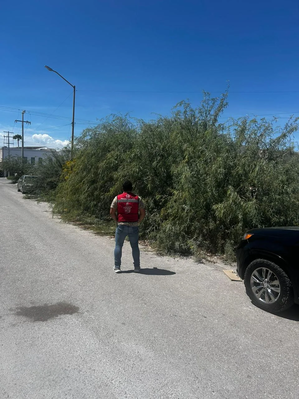 Atención Ciudadana recibió 53 reportes referentes a lotes baldíos en septiembre 