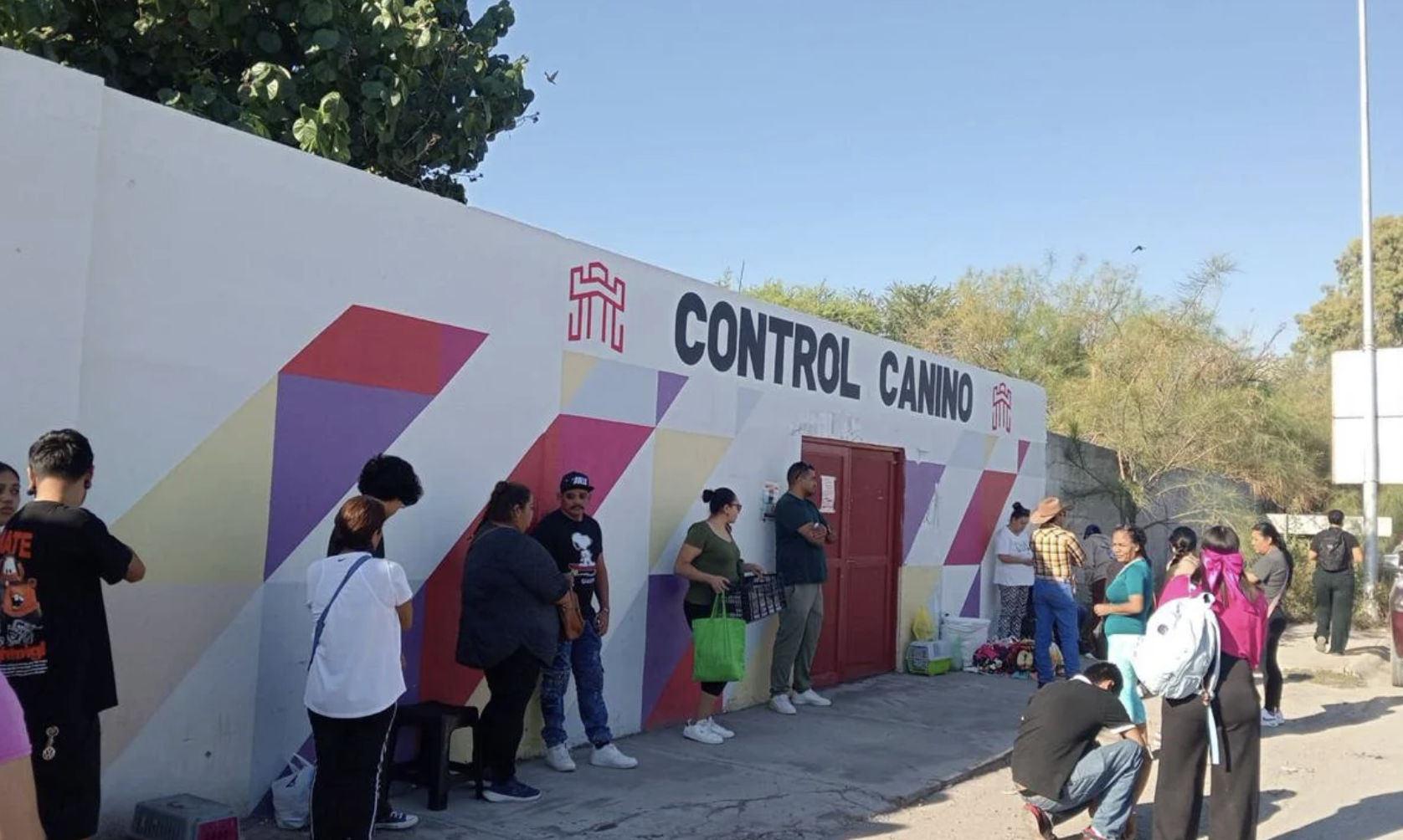 Invitan a jornada de esterilización felina este domingo