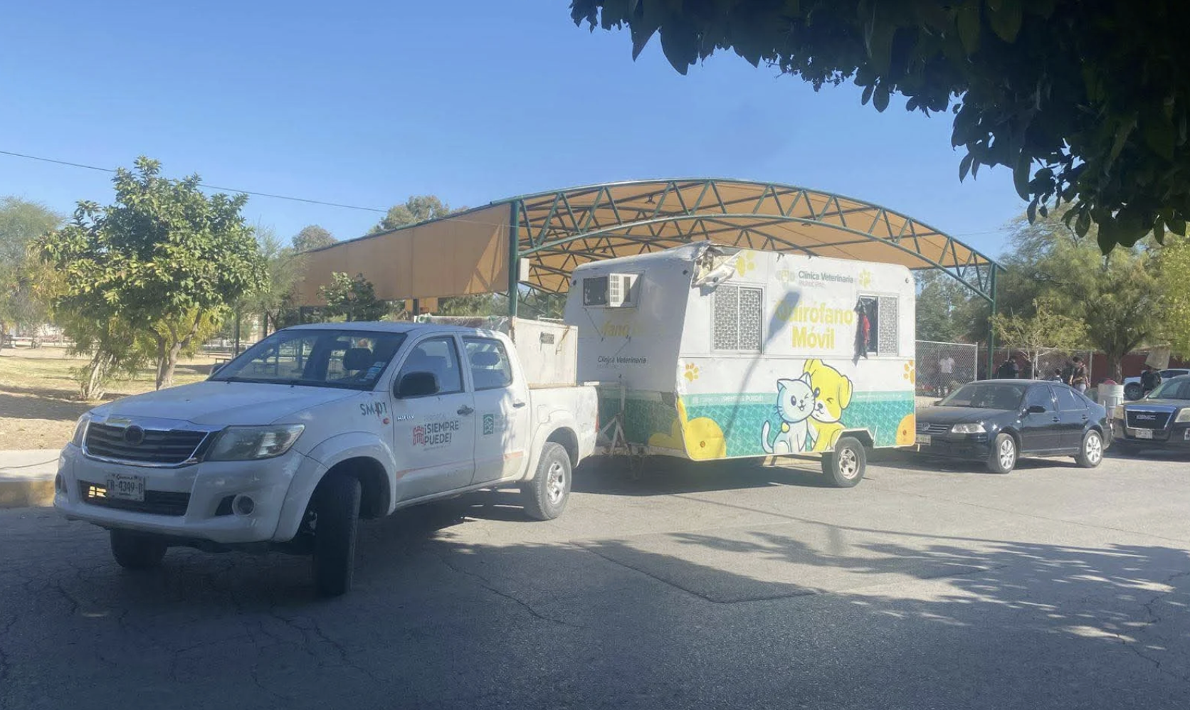 Control Canino realizó 190 esterilizaciones de perros y gatos en distintas colonias de Torreón