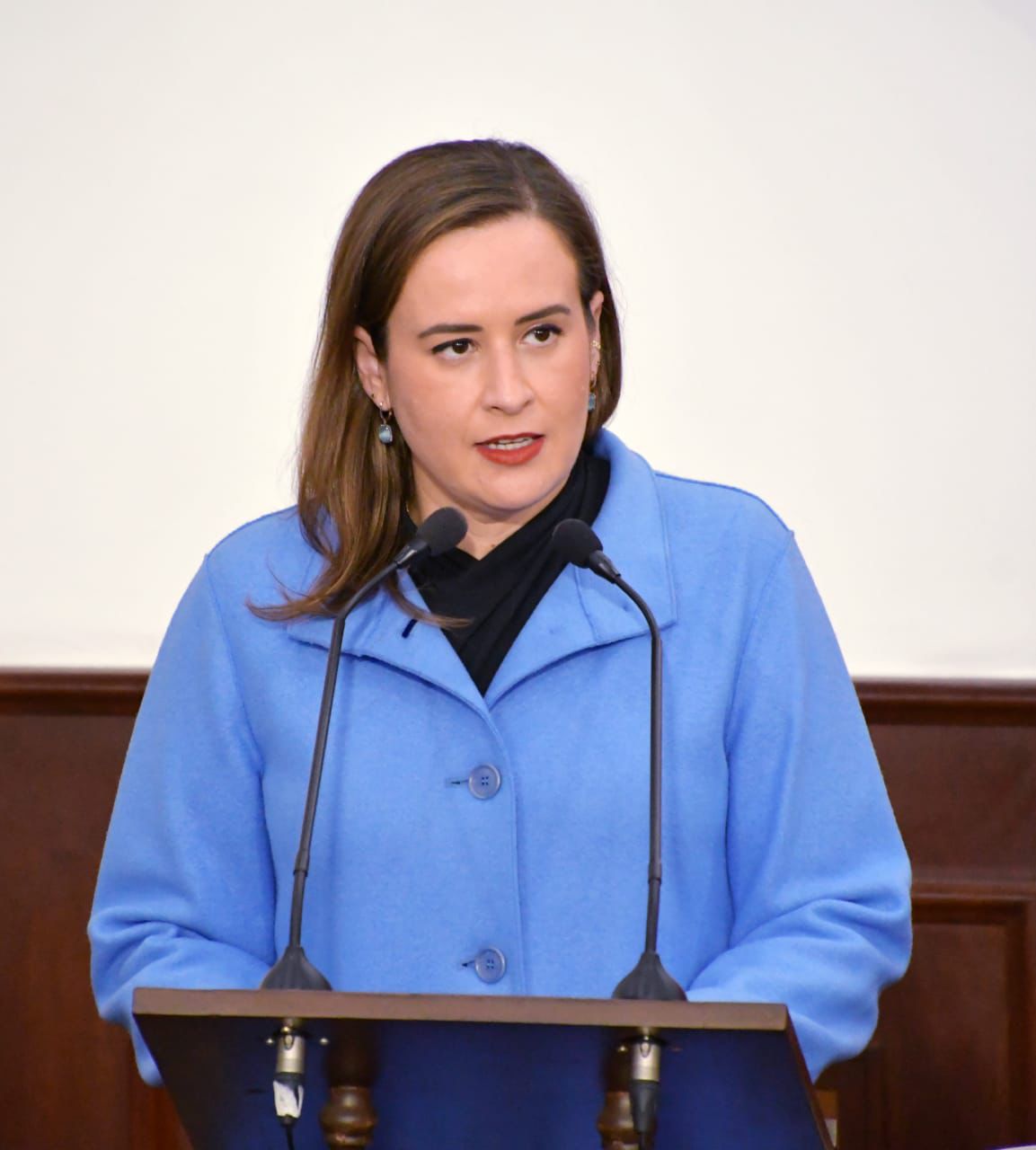 Revisar impacto del IVA en seguros de auto y gastos médicos, plantea Beatriz Fraustro