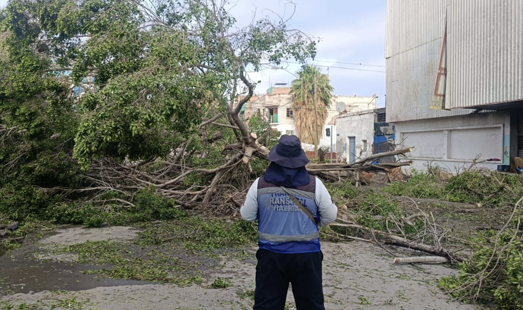 Dependencias municipales de Torreón atienden afectaciones por lluvias