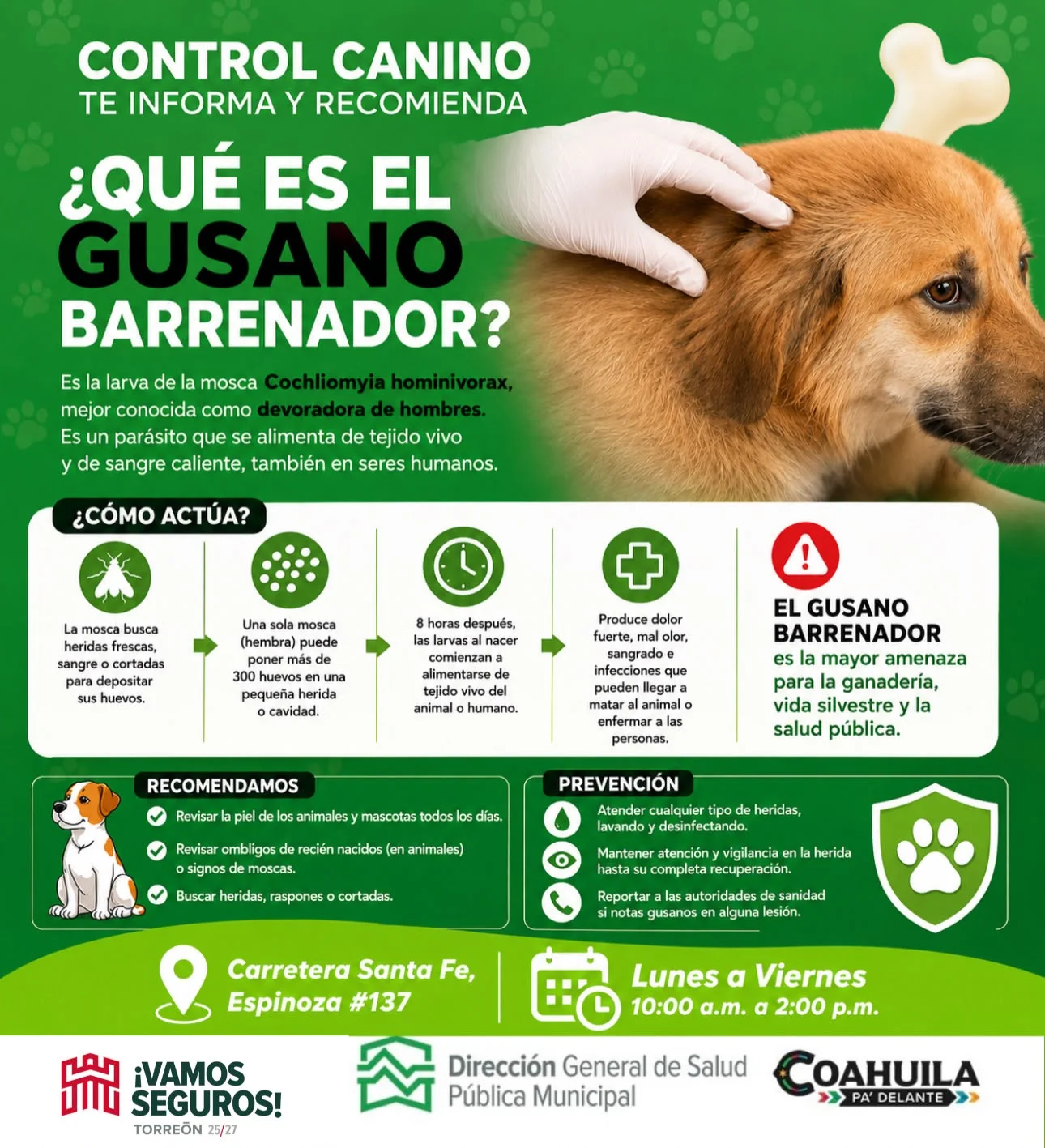 Control Canino informa sobre el gusano barrenador y emite recomendaciones para su prevención
